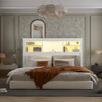 Testiera libreria Timechee Queen con luce RGB e ripiano regolabile